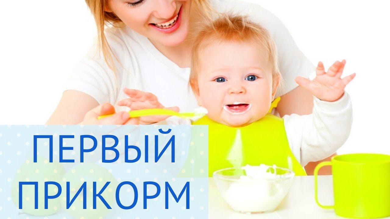 ПЕРВЫЙ ПРИКОРМ РЕБЕНКА | Как правильно прикармливать смотреть онлайн