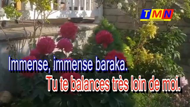 [KARAOKE] Samba mambo - Tone Nữ (Em) | #coverbytmn смотреть онлайн