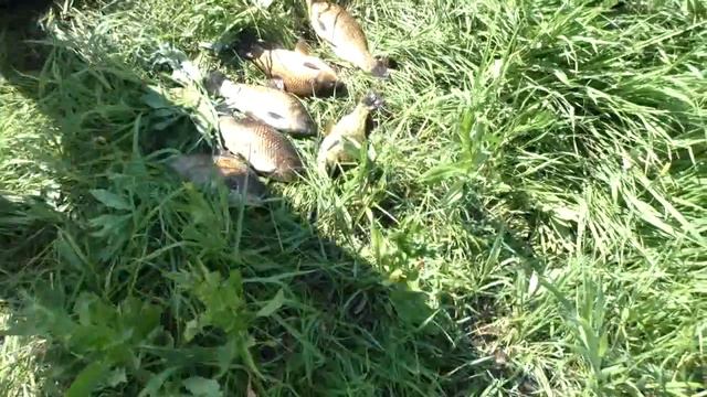 Вторая попытка смотреть онлайн