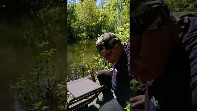 Рыбалка на поплавочную удочку. Ловля Карася👍. смотреть онлайн