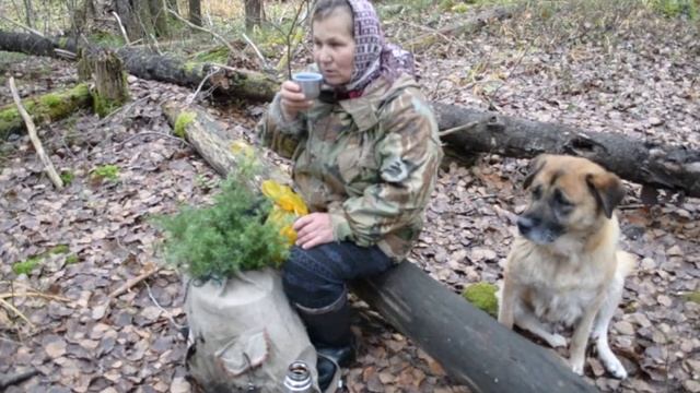 Собираем клюкву в болоте. смотреть онлайн