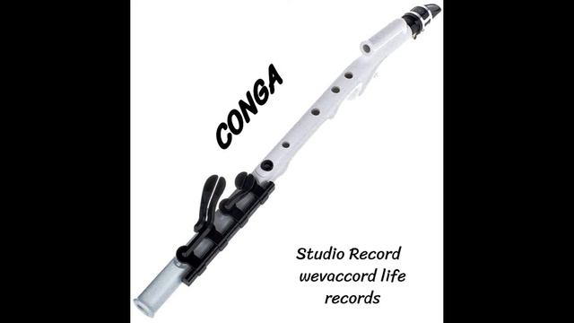 Conga Tokachuk K cover Gloria Estefan, Miami Sound Machine смотреть онлайн