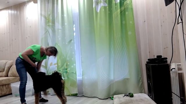 терра новое