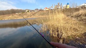 DAYO Amulet 0-3, Щука, окунь