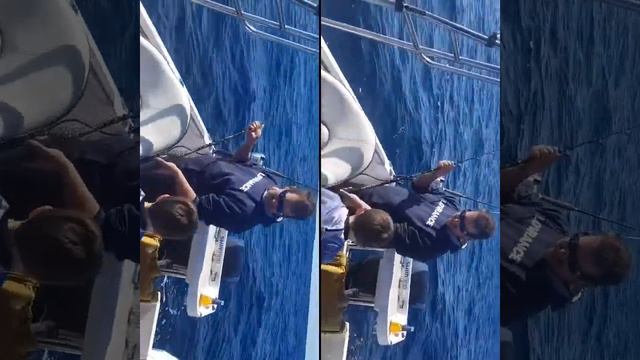 Port Fairy tuna смотреть онлайн