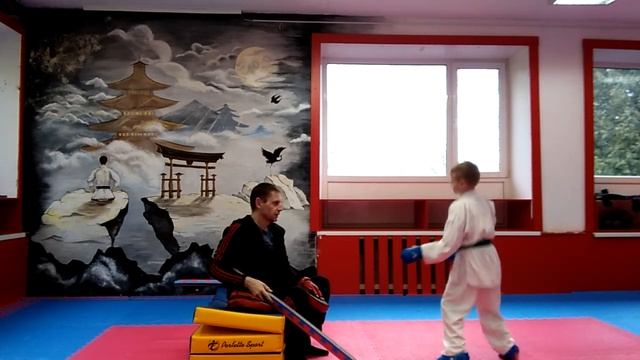 Инструкция video kumite помощь Родителей в подготовке Спортсменов смотреть онлайн