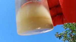 Разделение палладия и серебра! Оригинальный способ!