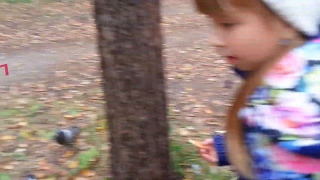 Кормим белочек в лесу! 123 смотреть онлайн