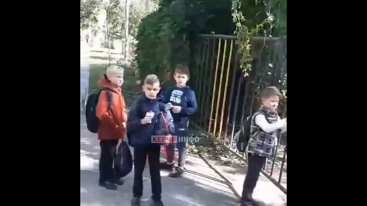 В Керчи возле школы упало огромное дерево