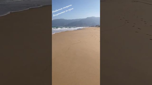 Пляж в Маскате 🇴🇲🌊🌊🌊🏝🏝🏝 смотреть онлайн