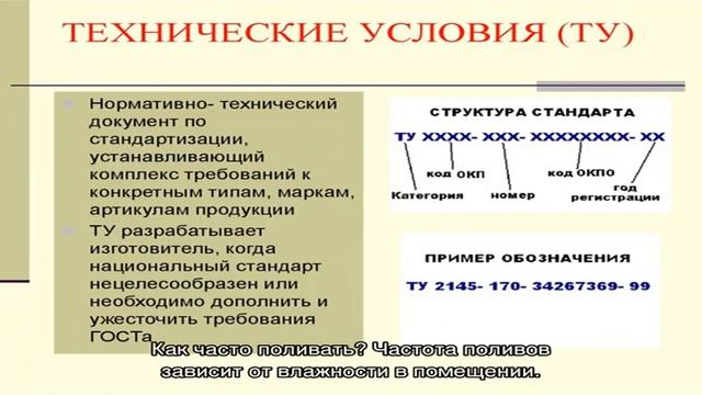 Фаленопсис домашний: тропический цветок в условиях города (24 фото) смотреть онлайн
