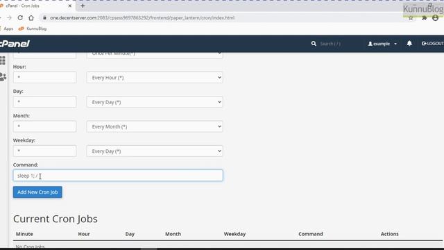 How to Create Per Second Cron Job in cPanel? - Quick & Easy - Hindi смотреть онлайн