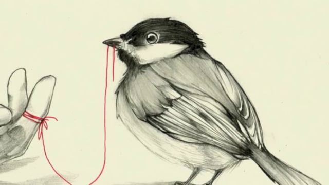The Robin and the Red Thread смотреть онлайн