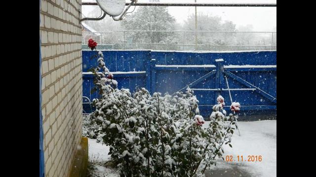 Поездка на Ставрополье смотреть онлайн