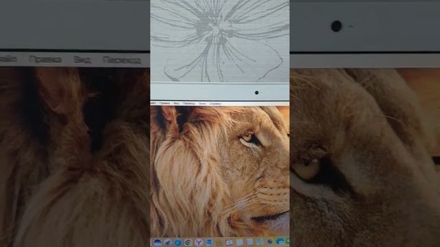 Ноутбук Apple MacBook 13 A1342 Start SSD