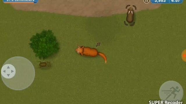 Я копил на этот мир много дней!Открыл Австралию!!! Динго??? Tasty planet 4. смотреть онлайн