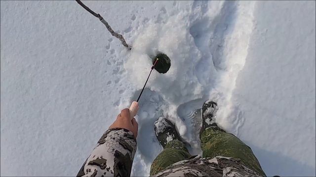 НА ТАЁЖНОЙ РЕЧУШКЕ В ПОИСКАХ ХАРИУСА смотреть онлайн