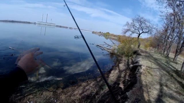 Ловля берегового окуня осенью спиннингом на отводной поводок смотреть онлайн