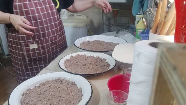 Каждый готовит по своему/Холодец/ смотреть онлайн