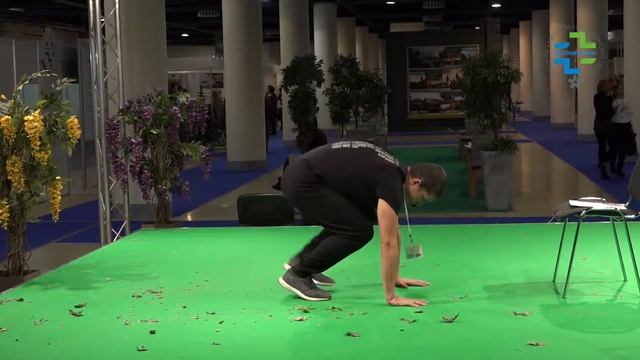 Базовый комплекс упражнений для утренней гимнастики для мужчин смотреть онлайн