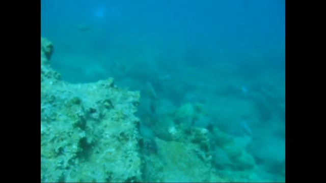 Нырялка в Мармарисе. diving in Marmaris смотреть онлайн