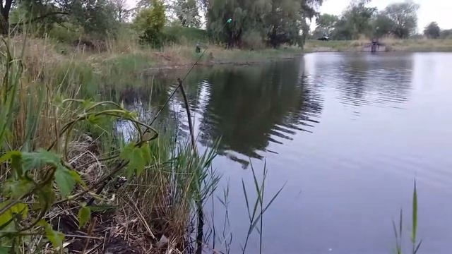 Рыбалка на озере ранней весной пение птиц Звуки природы Сверчки смотреть онлайн