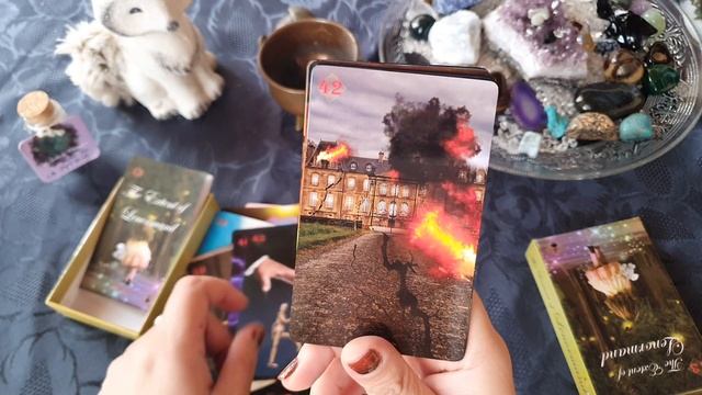 REVIEW The Extent of Lenormand d'Elvira voyance смотреть онлайн