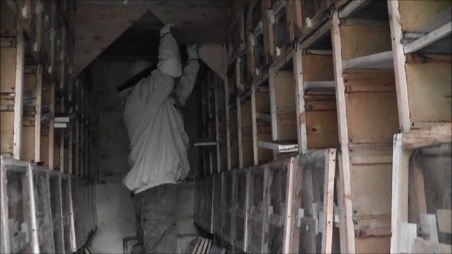 заселяем пчелосемьи в псковский павильон и зачем нужны разграничительные доски смотреть онлайн