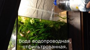 Подмена воды в аквариуме за 9 минут  Как я это делаю