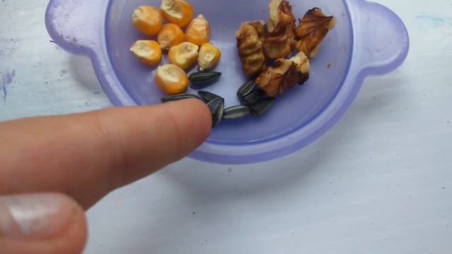 Подкормка хомяка.