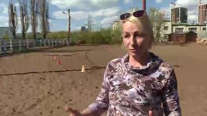 Телемедицина иппотерапия для пересылки