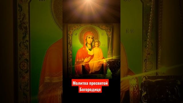 Молитва пресвятой Богородице. Марин дево чистая, пресвятая Богородице.#Православие#отбеды#оберег смотреть онлайн