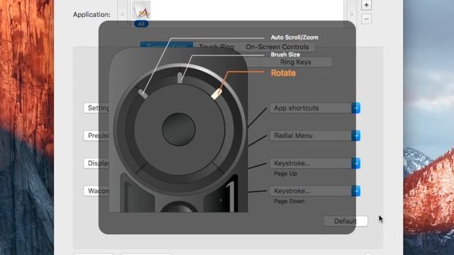 Need More BUTTONS?【Wacom Expresskey Remote】