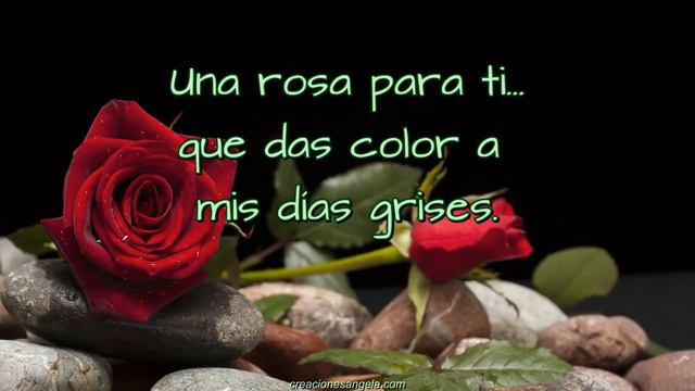 UNA ROSA PARA TI... Que me Alegras la Vida смотреть онлайн