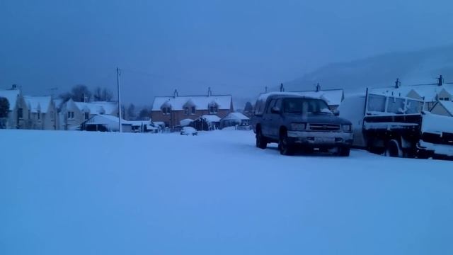Skoda Octavia Scout Driving In Snow