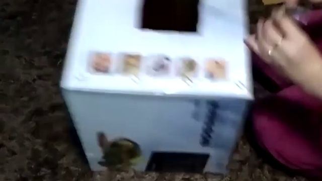 домик для кошки своими руками из коробки смотреть онлайн