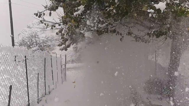 Снег в Телетле @Шамиль Кебедов смотреть онлайн