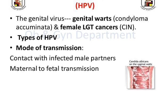 PID & STDs (2) Dr Ahmed Mahmoud Hussien смотреть онлайн
