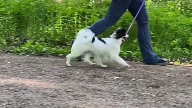 Луми смотреть онлайн