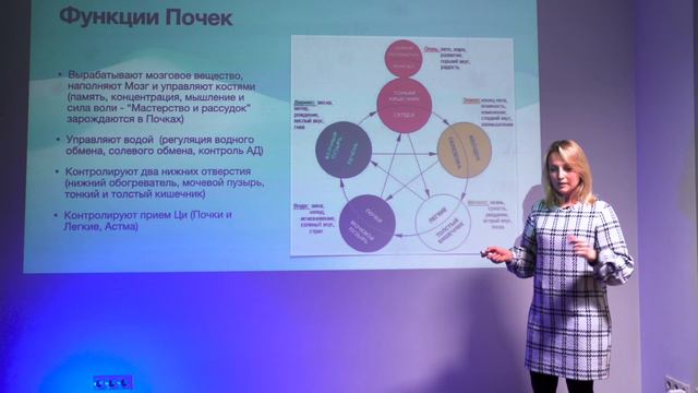 Почки в традиционной китайской медицине. смотреть онлайн