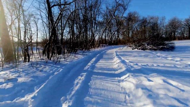 Virtual running at Kings park Winnipeg Manitoba, 6.1km run 20211231 смотреть онлайн