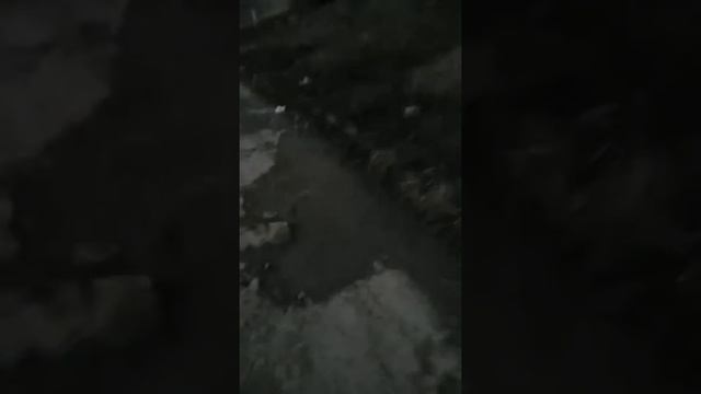 Катание на мопеде смотреть онлайн