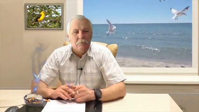 Перелётная птица смотреть онлайн