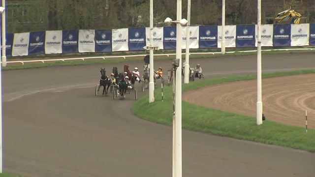 ЭХО КОННОГО МИРА. 11 мая 2022 года. 17:00 смотреть онлайн