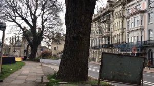 2. Юг Англии Город Брайтон и странности англичан. Жизнь в Великобритании  Плюсы и минусы