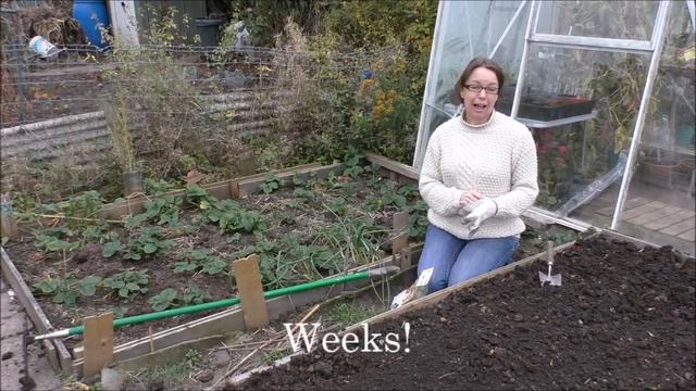 Jane's Allotment October 19th 2015 смотреть онлайн