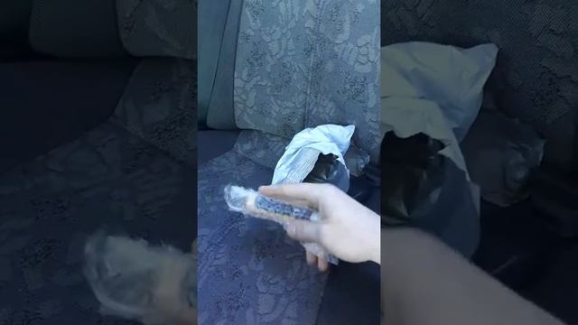 Как найти провод в стене? смотреть онлайн