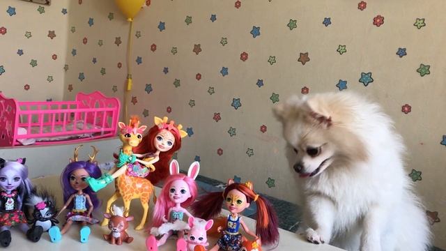 Enchantimals МОЯ КОЛЛЕКЦИЯ КУКОЛ