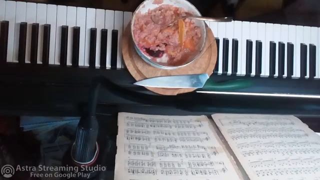 Gubaev Evgeniy Maratovich piano player composer смотреть онлайн