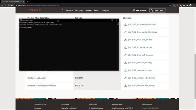 Installing JDK and Setting up the Java Home смотреть онлайн